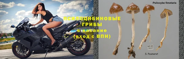 круглые Армянск