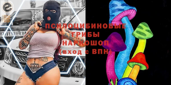 дживик Аркадак